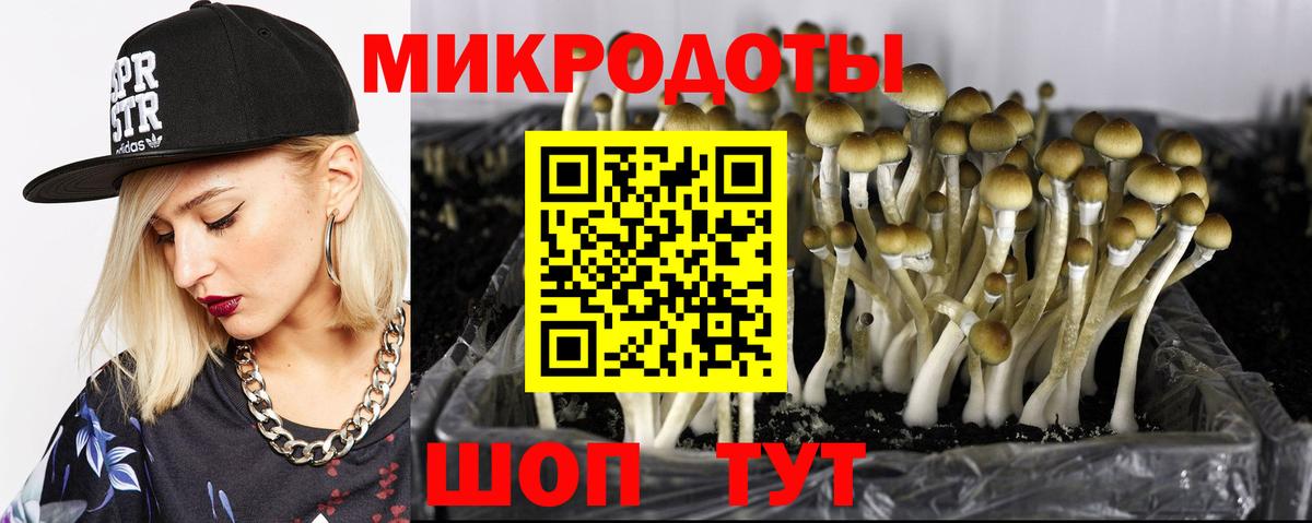 Галлюциногенные грибы прущие грибы  Вход с VPN  Карталы  наркота  Галлюциногенные грибы GOLDEN TEACHER 